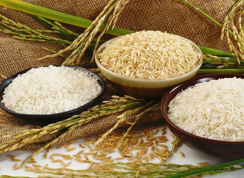 Rice