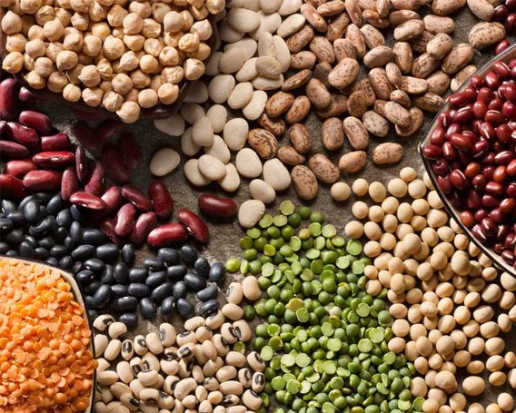 Pulses and Beans