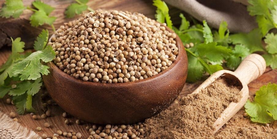 Coriander