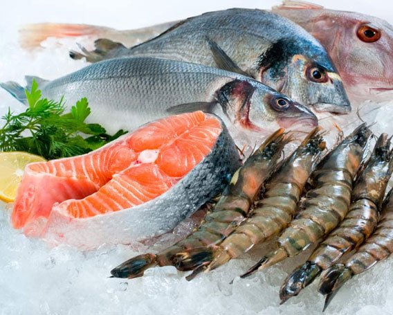 Fish Items