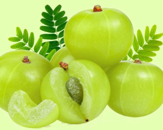 Gooseberry
