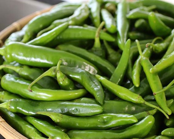 Thai Chilli Green