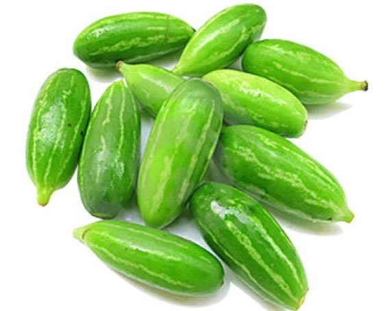 Tindora