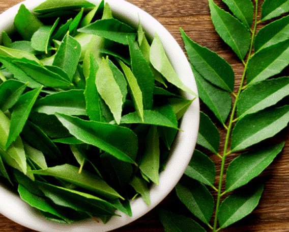 Curry Leaves