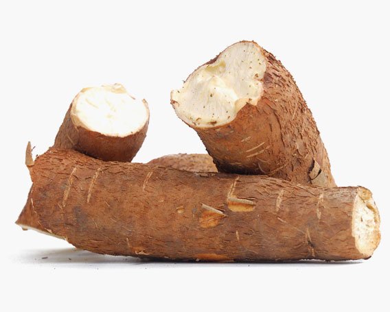 Cassava
